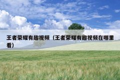王者荣耀有趣视频（王者荣耀有趣视频在哪里看