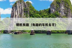 朝机有趣（有趣的车机名字）