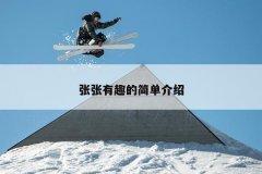 张张有趣的简单介绍