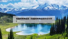 有趣的购物经历（有趣的购物经历作文50字）