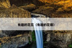 有趣的花蕊（有趣的花瓣）