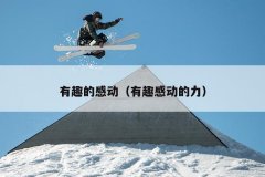 有趣的感动（有趣感动的力）