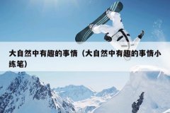 大自然中有趣的事情（大自然中有趣的事情小练