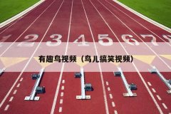 有趣鸟视频（鸟儿搞笑视频）