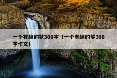 一个有趣的梦300字（一个有趣的梦300字作文）