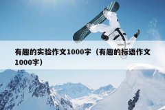 有趣的实验作文1000字（有趣的标语作文1000字）