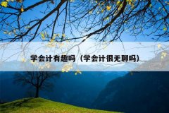 学会计有趣吗（学会计很无聊吗）