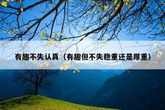 有趣不失认真（有趣但不失稳重还是厚重）