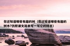 你还知道哪些有趣的树（你还知道哪些有趣的树木?仿照课文简单写一写它的特点）