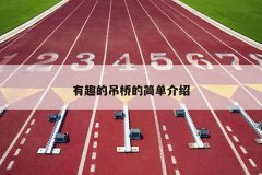 有趣的吊桥的简单介绍