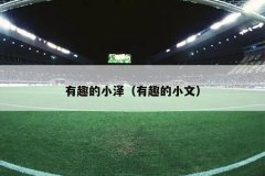 有趣的小泽（有趣的小文）