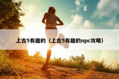上古5有趣的（上古5有趣的npc攻略）