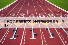小狗怎么有趣的作文（小狗有趣在哪里写一段话