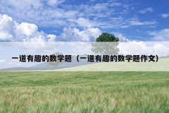 一道有趣的数学题（一道有趣的数学题作文）