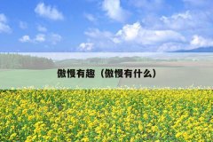 傲慢有趣（傲慢有什么）