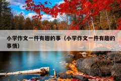 小学作文一件有趣的事（小学作文一件有趣的事