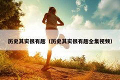 历史其实很有趣（历史其实很有趣全集视频）