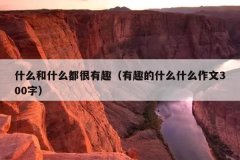什么和什么都很有趣（有趣的什么什么作文300字