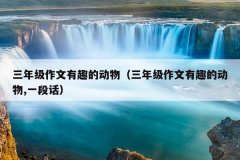 三年级作文有趣的动物（三年级作文有趣的动物