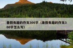 暑假有趣的作文300字（暑假有趣的作文300字怎么