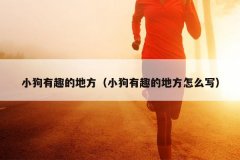 小狗有趣的地方（小狗有趣的地方怎么写）