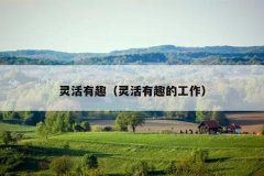 灵活有趣（灵活有趣的工作）