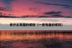 有什么有趣的昵称（一些有趣的昵称）