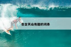 包含天山有趣的词条