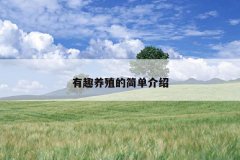 有趣养殖的简单介绍