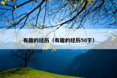 有趣的经历（有趣的经历50字）