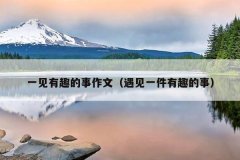 一见有趣的事作文（遇见一件有趣的事）
