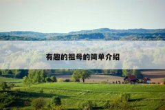 有趣的祖母的简单介绍