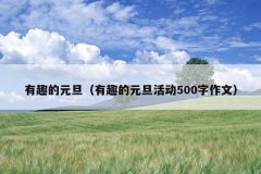 有趣的元旦（有趣的元旦活动500字作文）