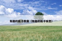 有趣的瓶子教案（有趣的瓶子反思）