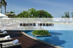 有趣的阿豪（啊有趣的）