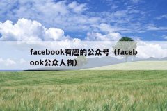 facebook有趣的公众号（facebook公众人物）
