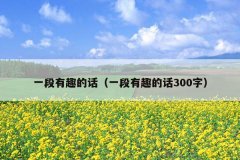 一段有趣的话（一段有趣的话300字）