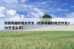 校园有趣的地方作文（校园有趣的地方作文300字怎么写）