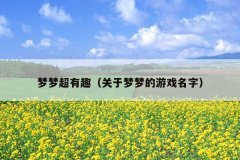 梦梦超有趣（关于梦梦的游戏名字）