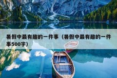 暑假中最有趣的一件事（暑假中最有趣的一件事500字）