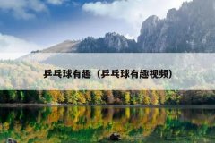 乒乓球有趣（乒乓球有趣视频）