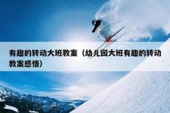 有趣的转动大班教案（幼儿园大班有趣的转动教案感悟）