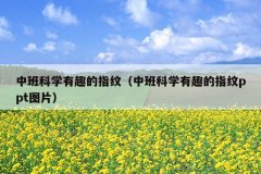 中班科学有趣的指纹（中班科学有趣的指纹ppt图片）