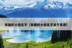 有趣的小组名字（有趣的小组名字关于真理）