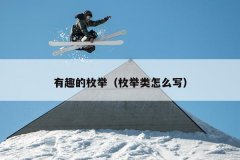 有趣的枚举（枚举类怎么写）