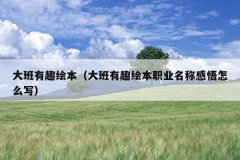 大班有趣绘本（大班有趣绘本职业名称感悟怎么写）