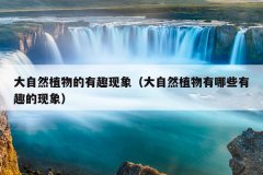 大自然植物的有趣现象（大自然植物有哪些有趣的现象）