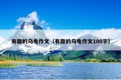 有趣的乌龟作文（有趣的乌龟作文100字）