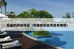 有趣的创业项目（有趣的创业项目有哪些）