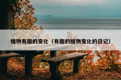 植物有趣的变化（有趣的植物变化的日记）